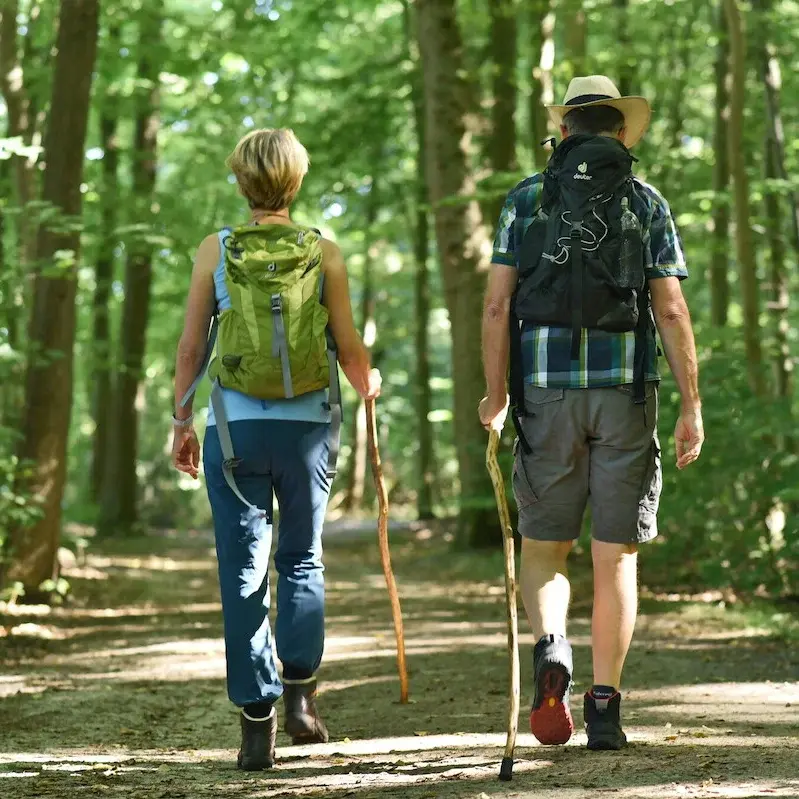 Ein Mann und eine Frau pilgern durch einen lichtdurchfluteten Wald